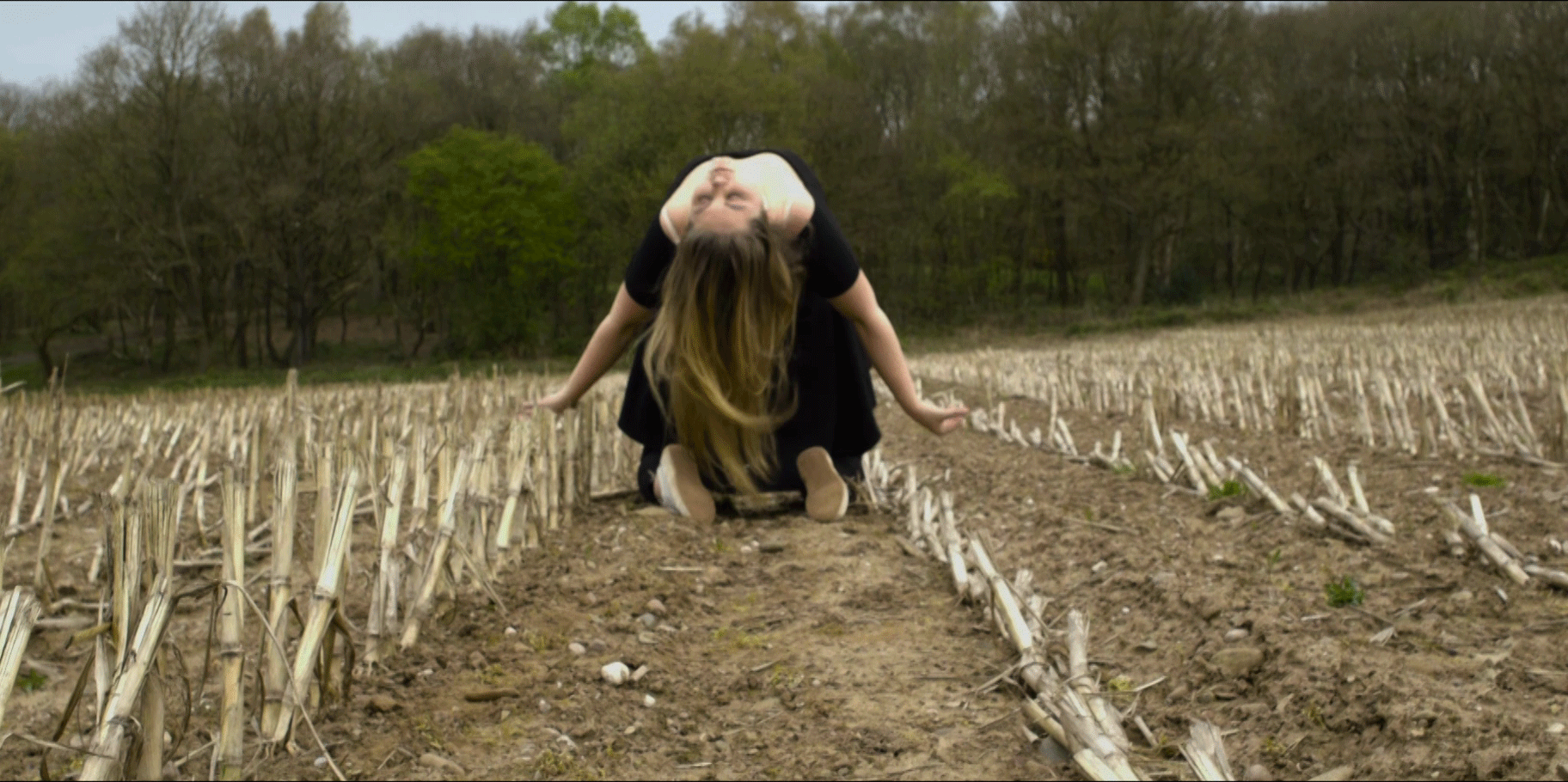 Eyes of the After Effects