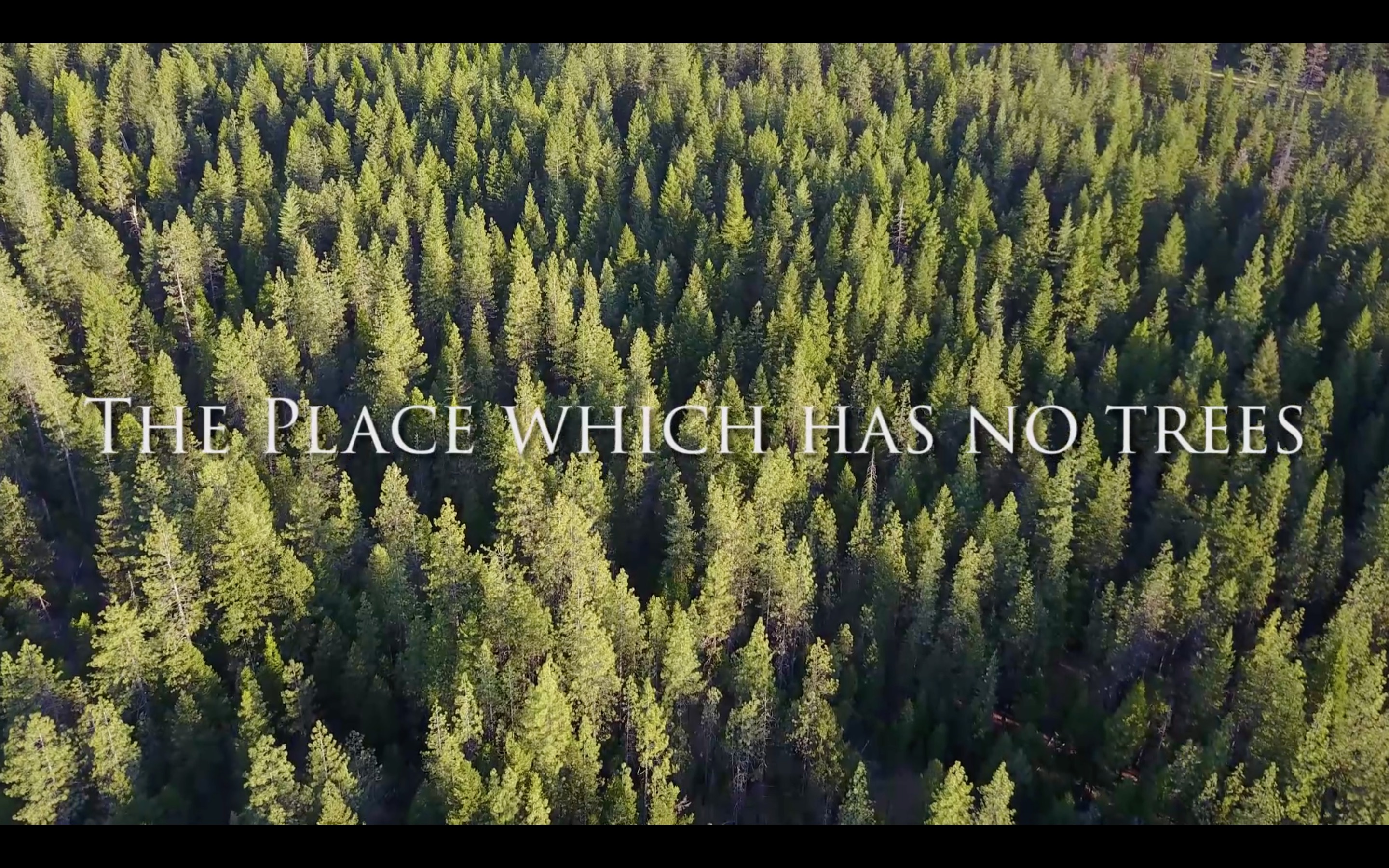 Place Which Has No Trees