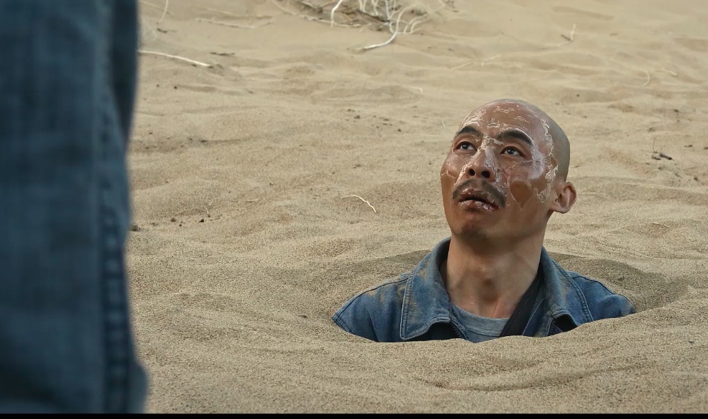 White Sheep in the Car