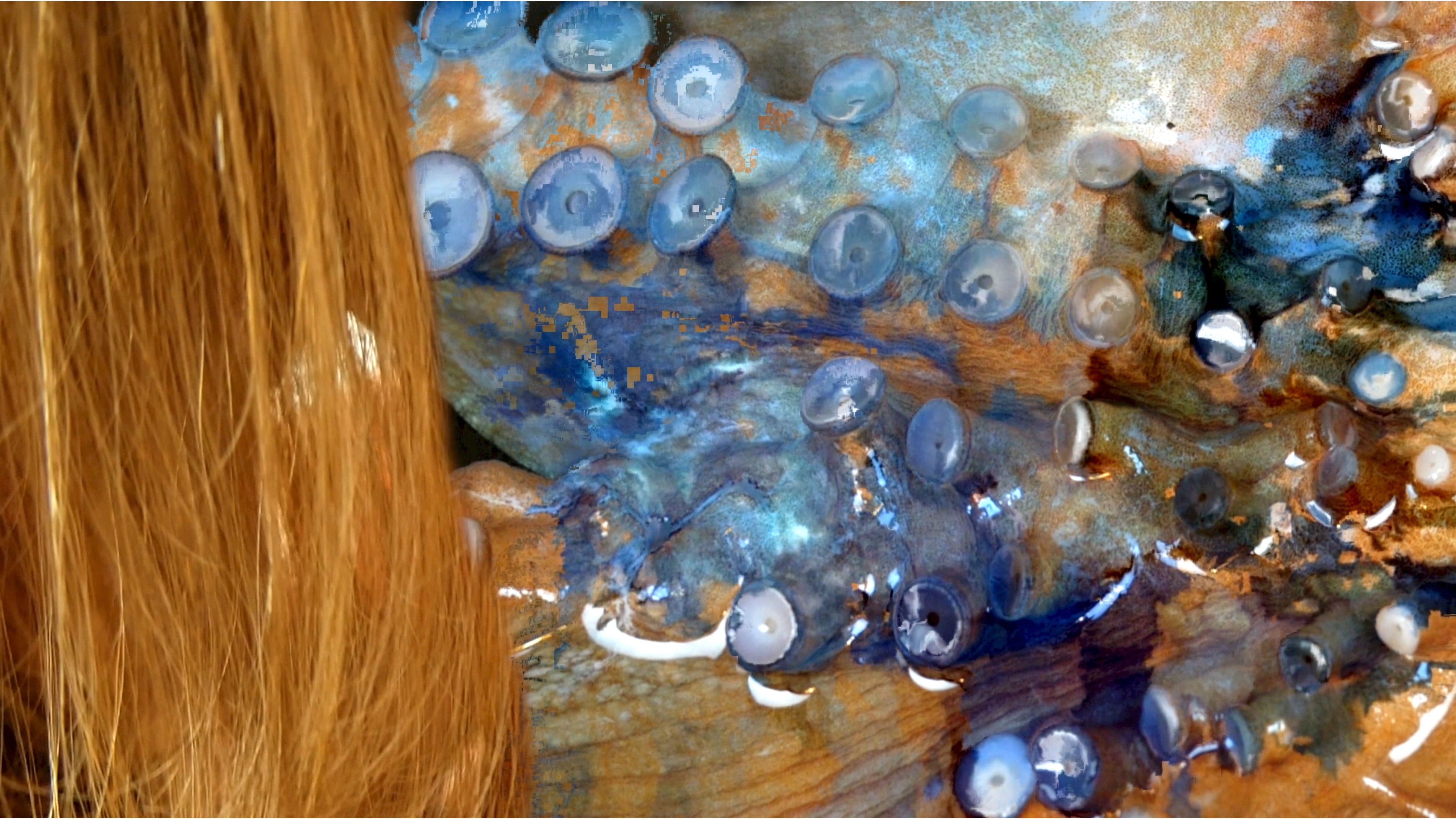 Rêve de la pêcheuse