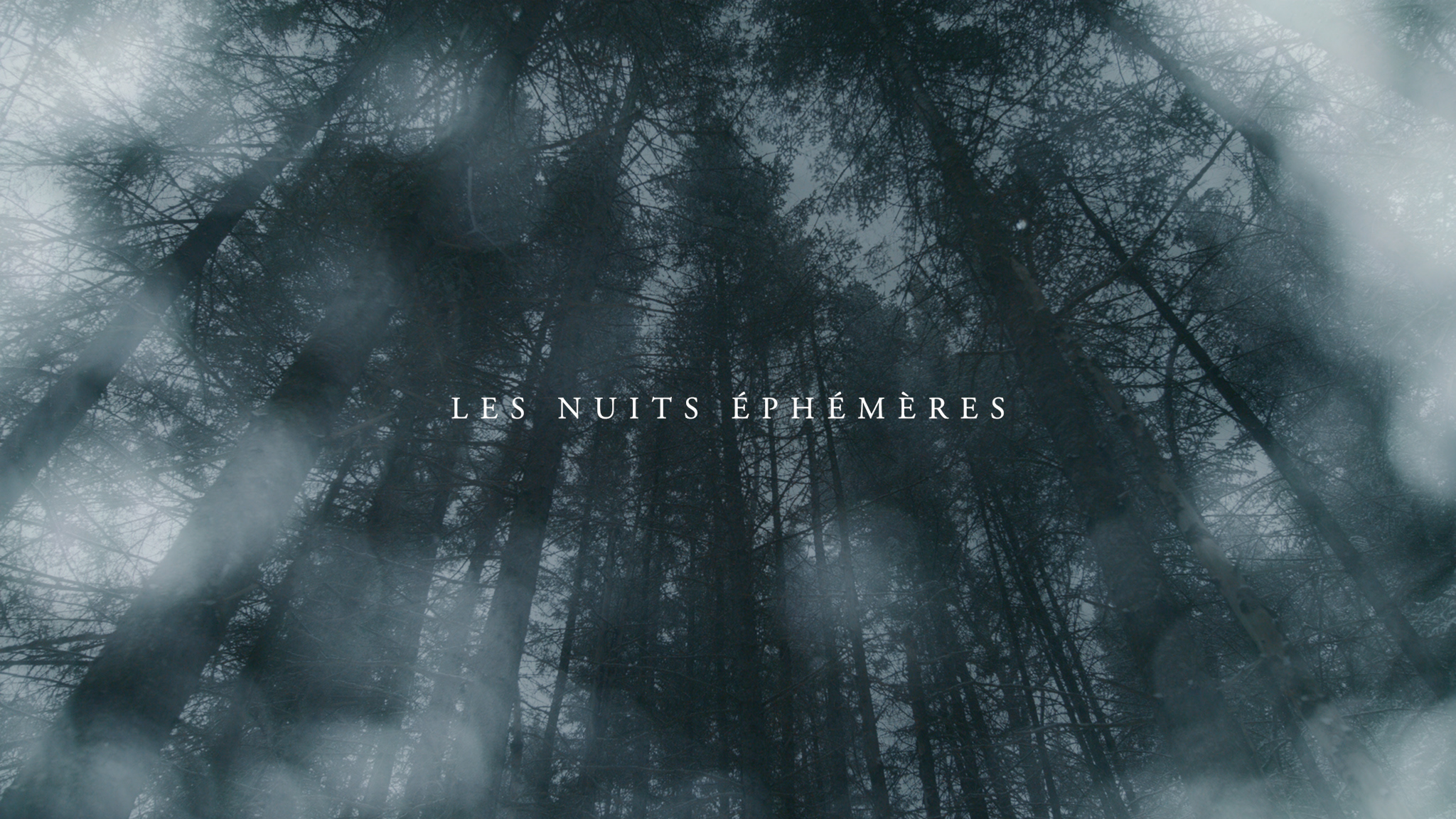 Nuits éphémères