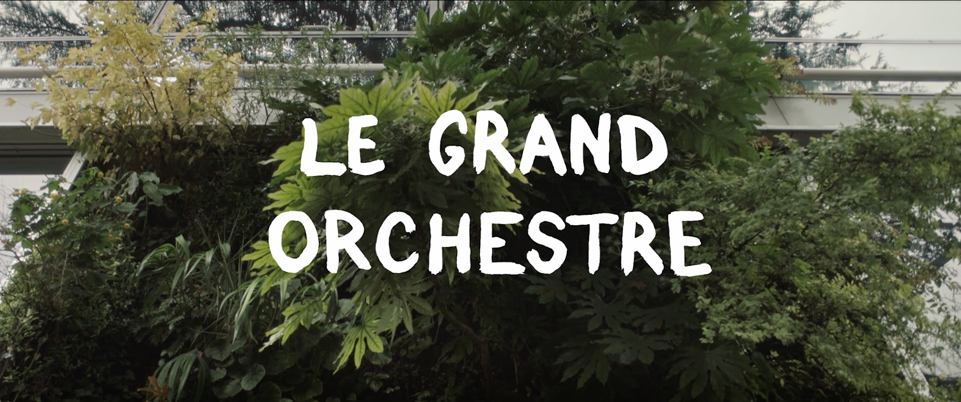 Grand Orchestre