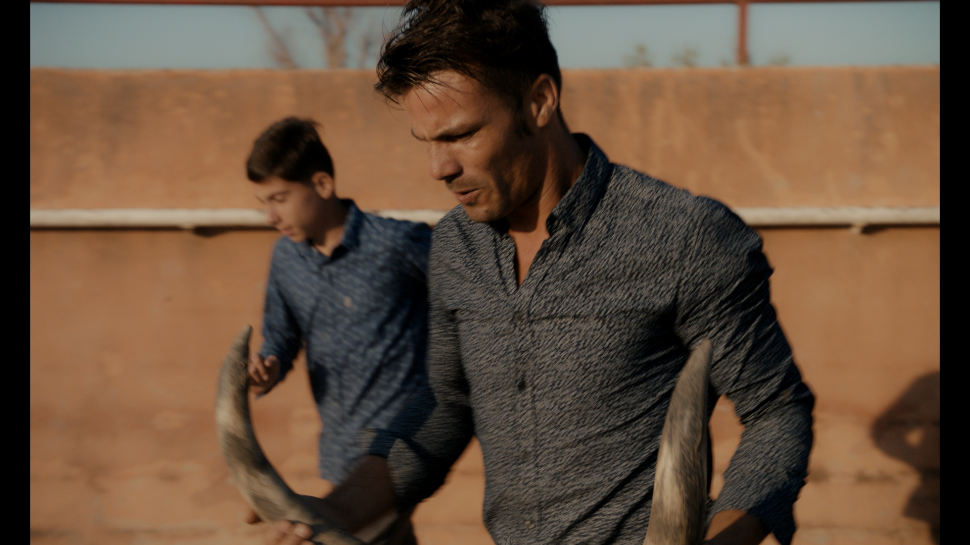 Un monde sans bêtes