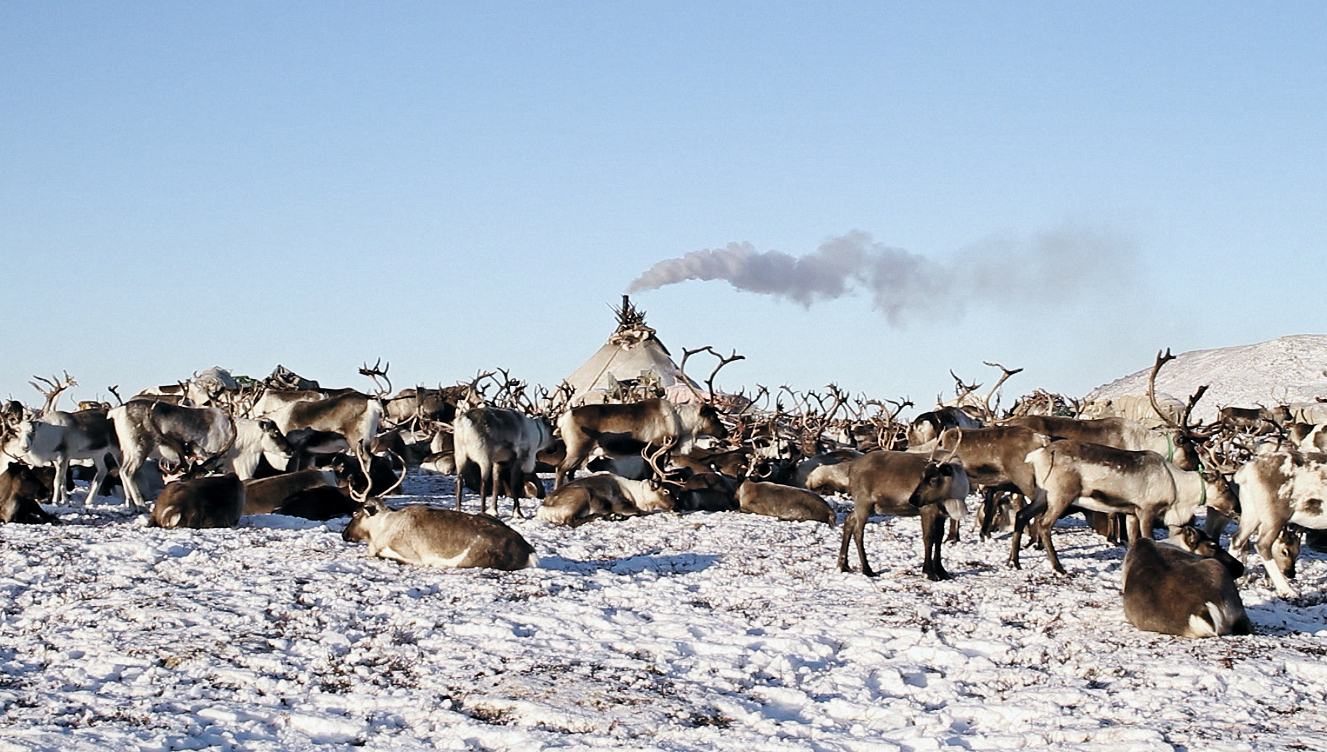 Zavtrak / Le petit déjeuner
