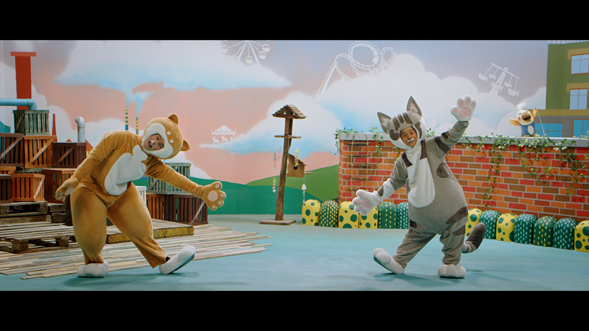 Shiba San and Meow Chan