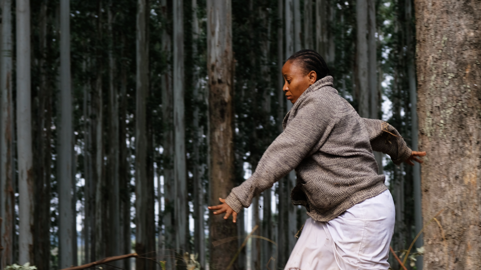 In the Light of the Fire