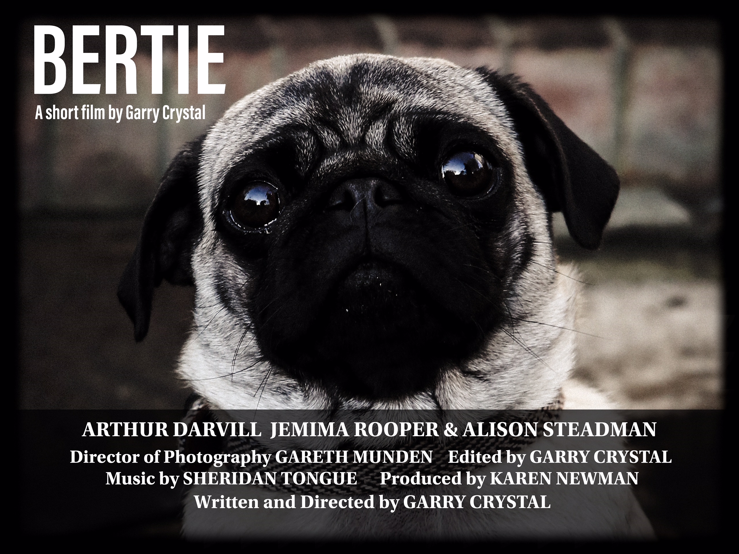 Bertie