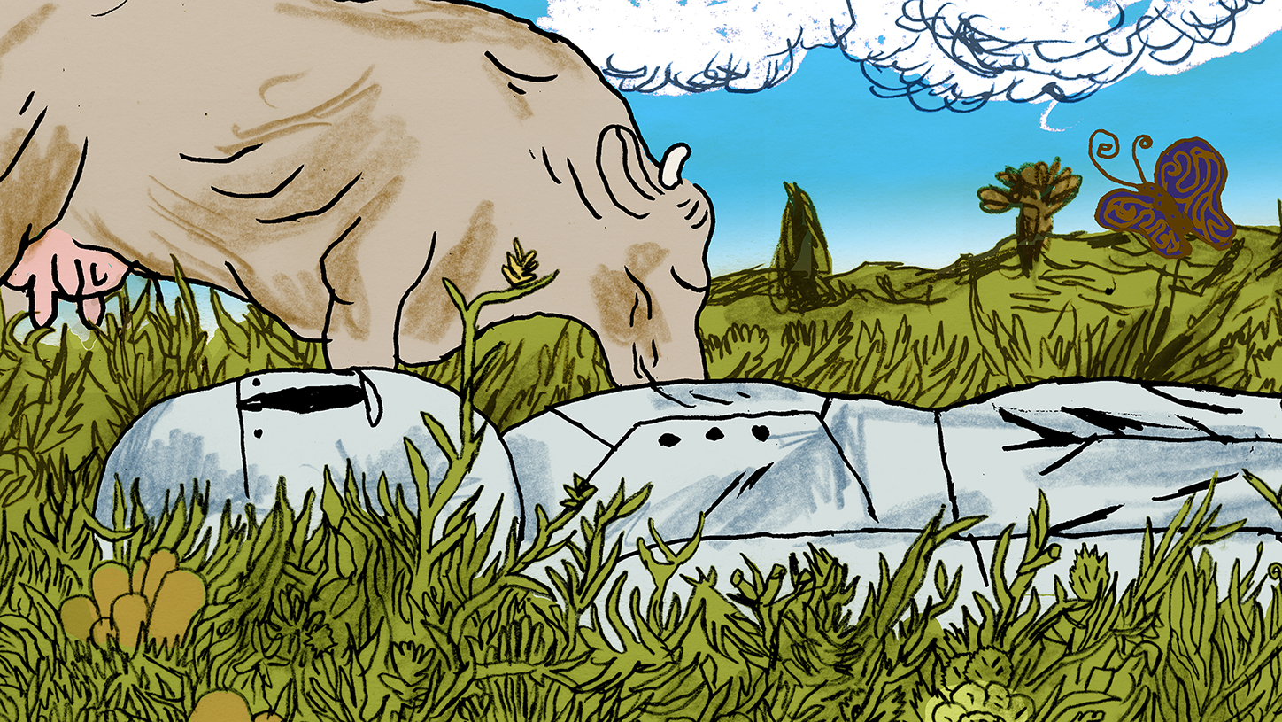 Evangelho Segundo Tauba e Primal