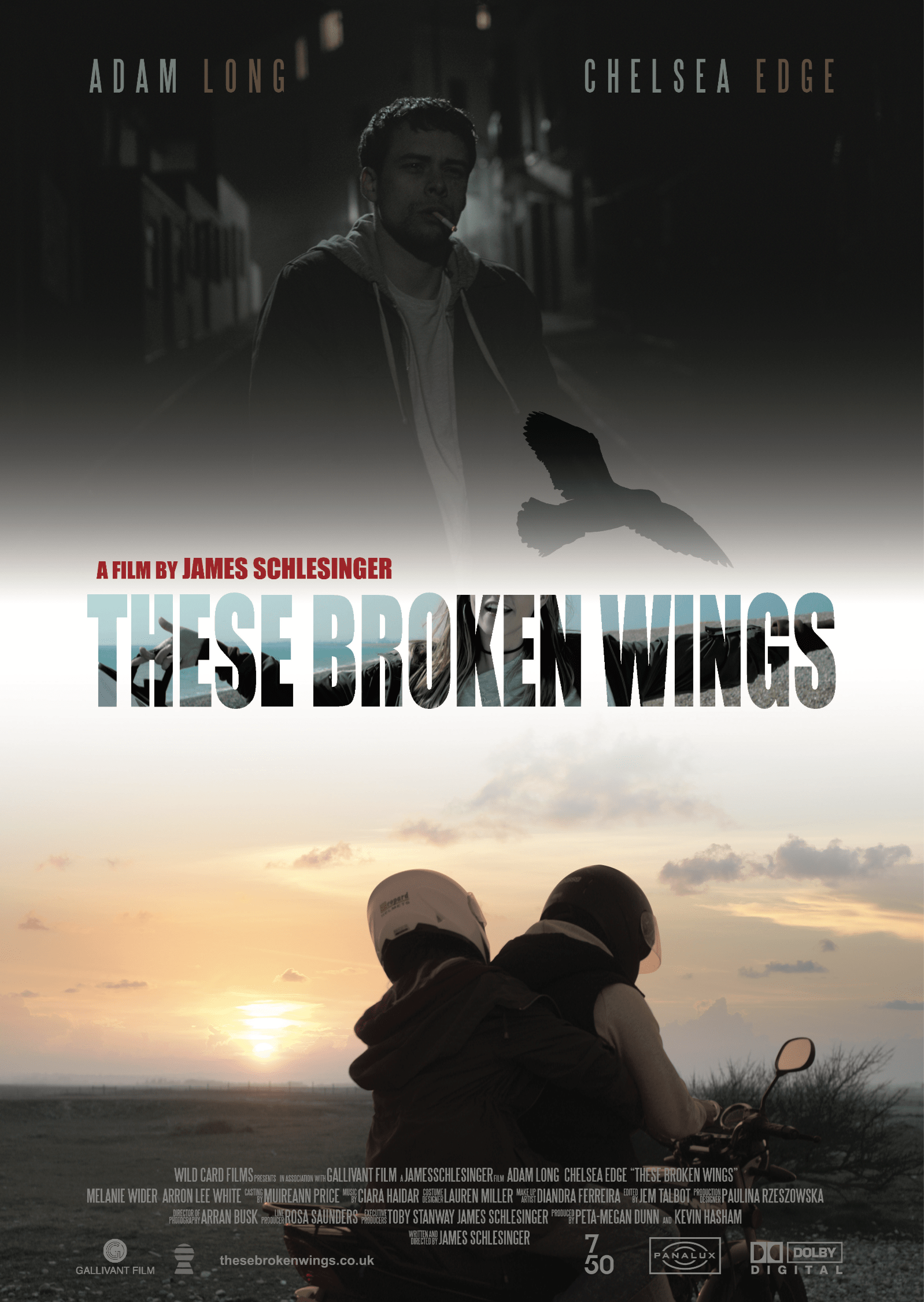 These Broken Wings