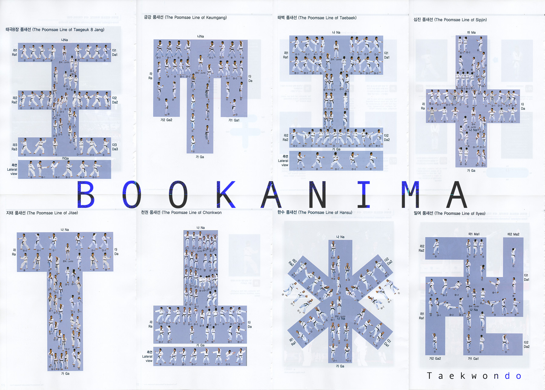 Bookanima: Martial Arts