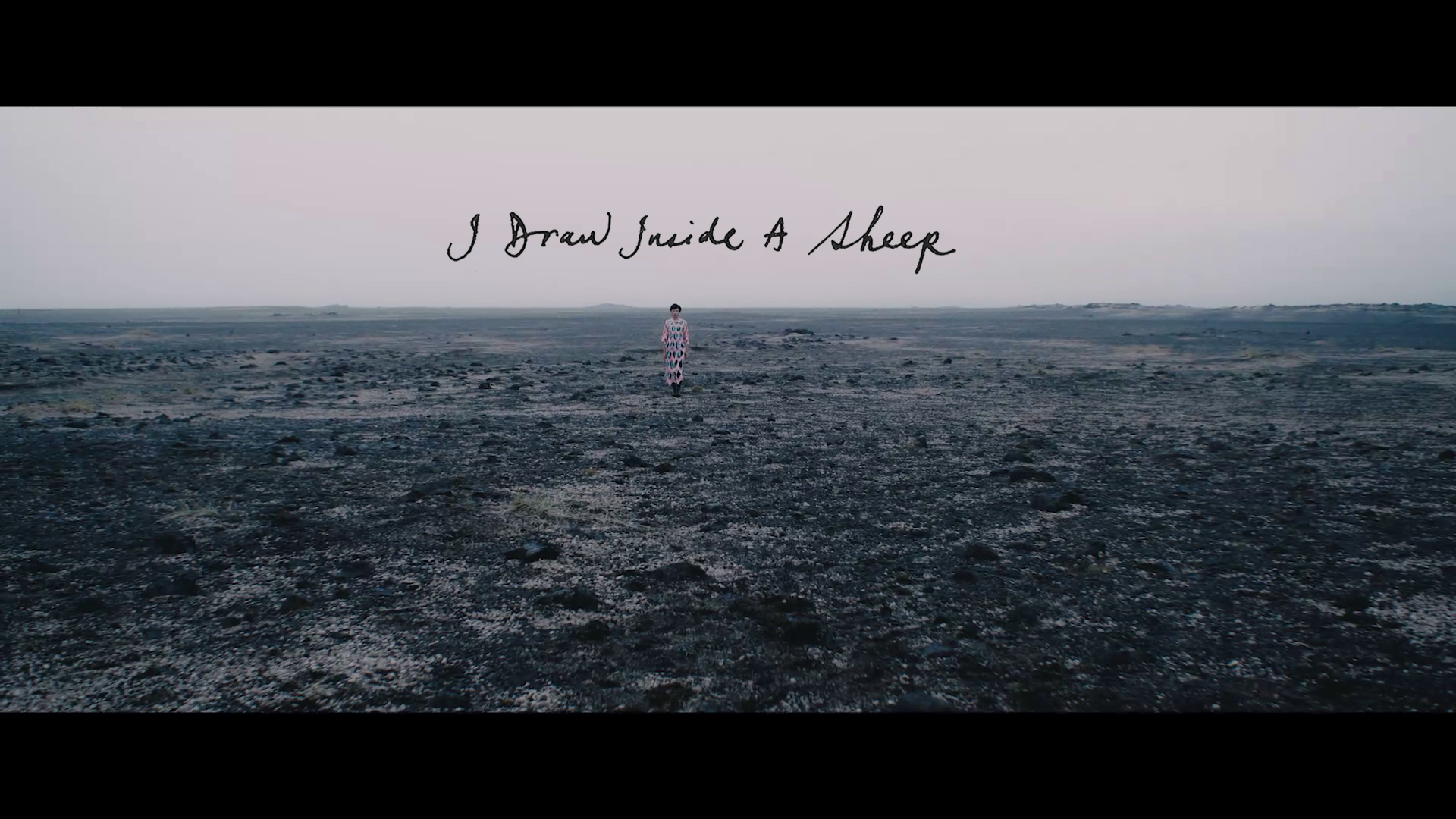 I Draw Inside A Sheep