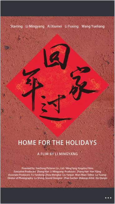 Home For the Holidays