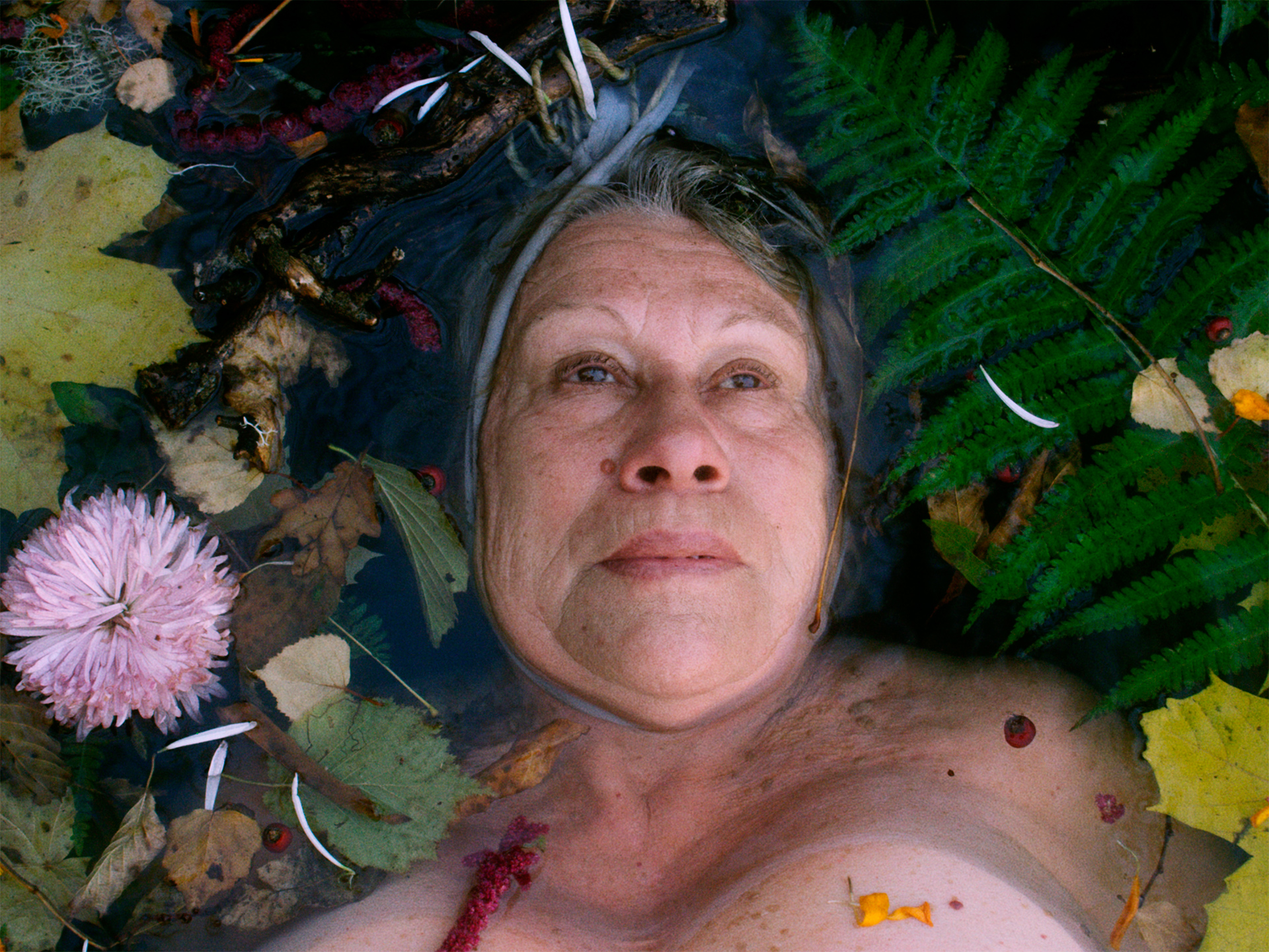 Totes les històries