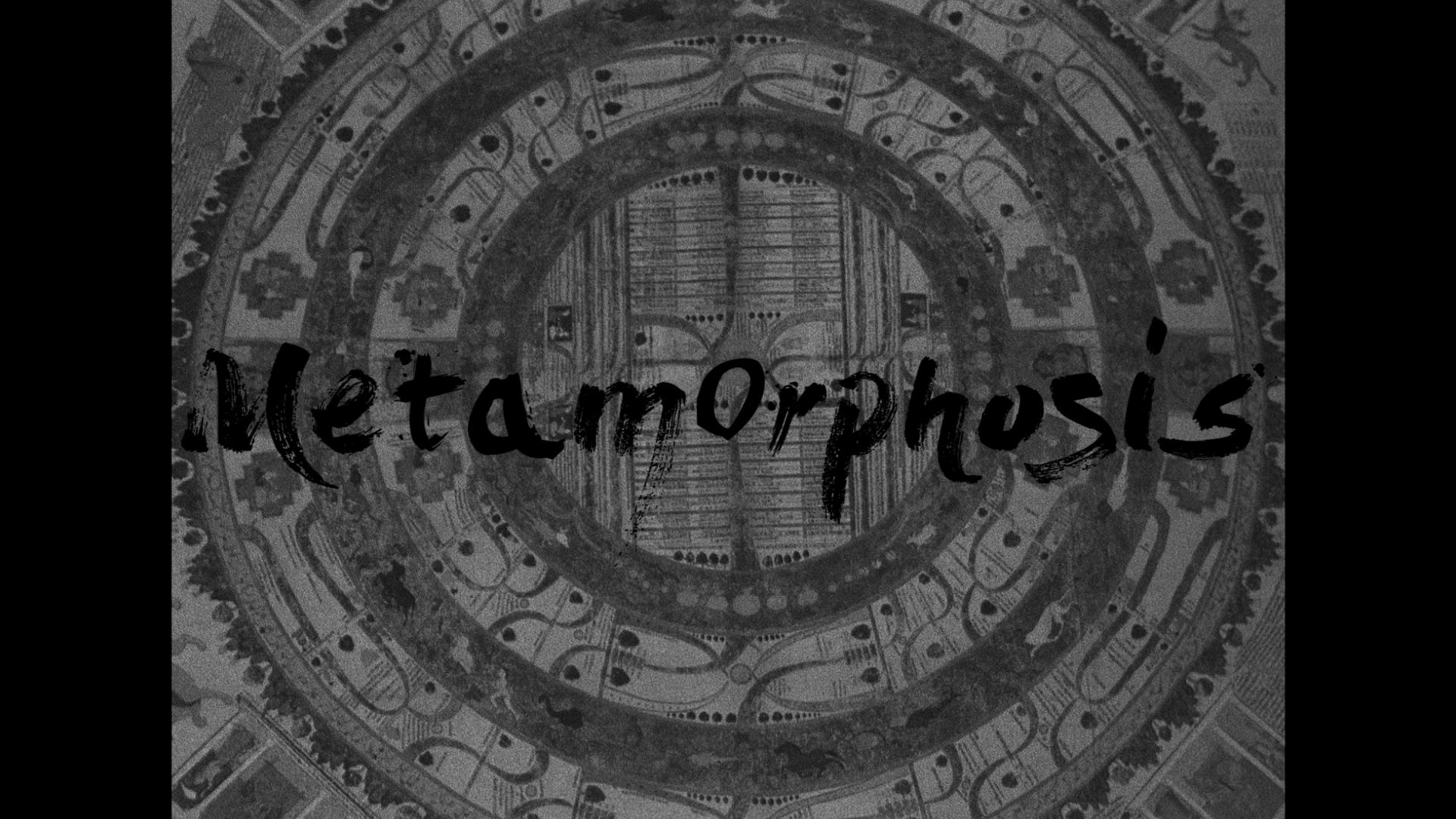 Metamorphosis