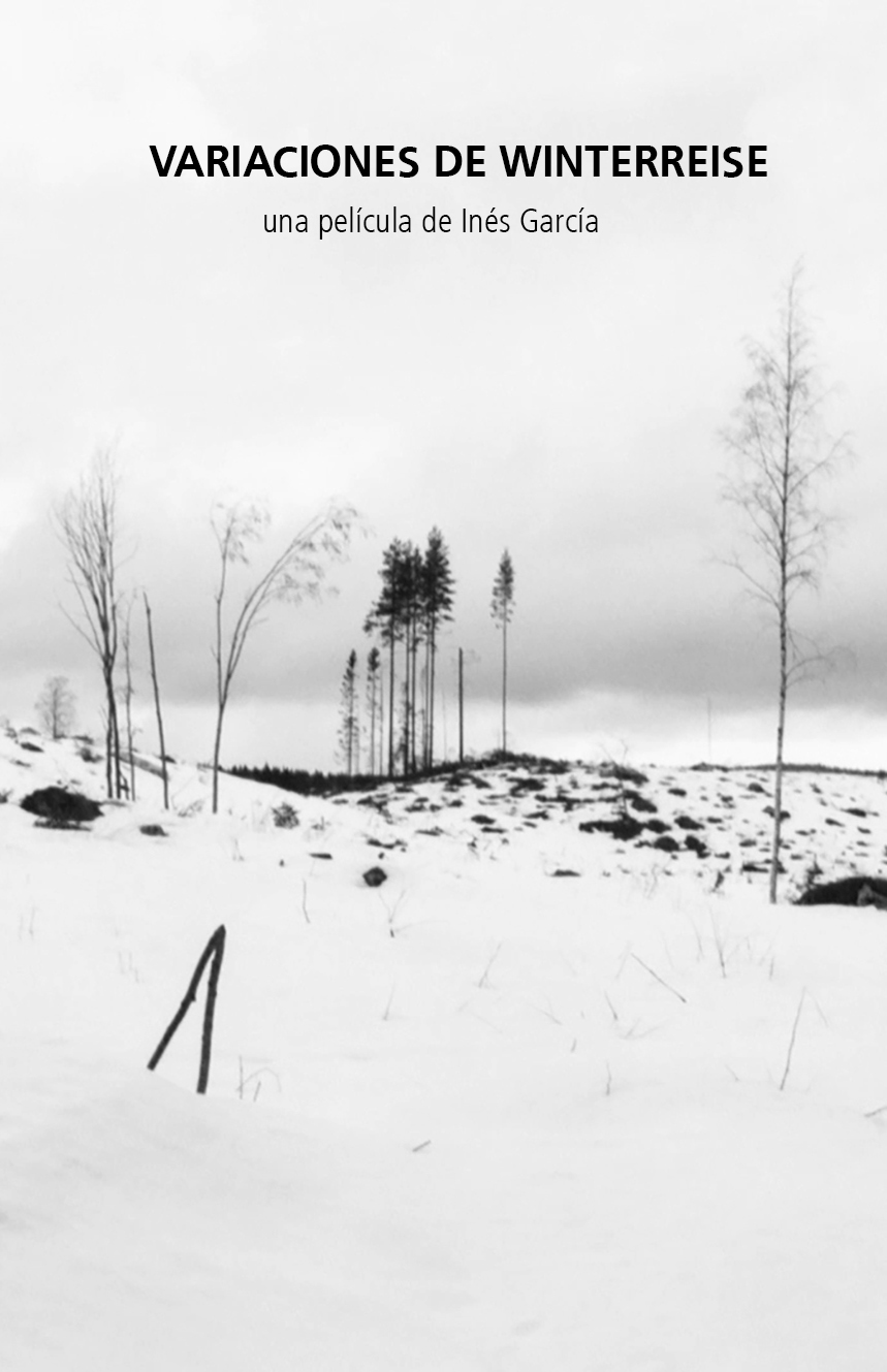 Variaciones De Winterreise