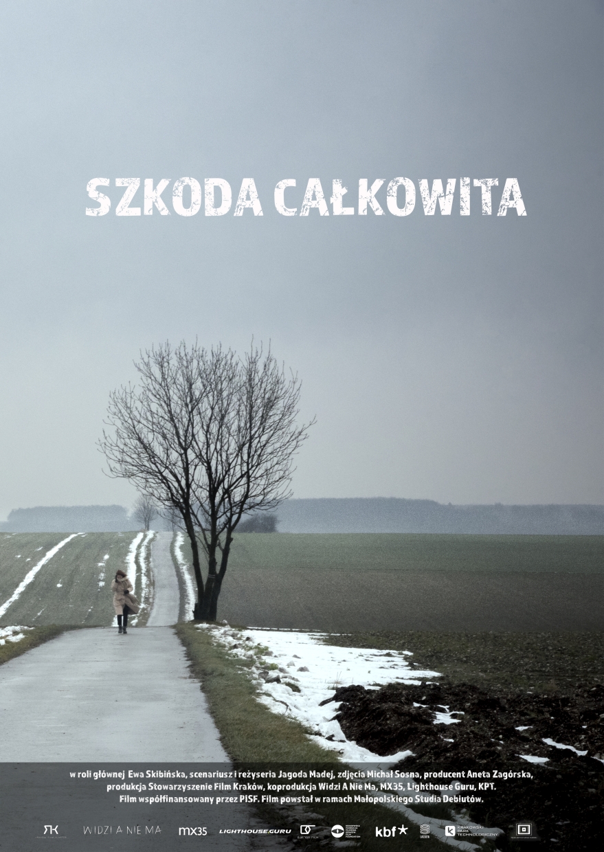 Szkoda całkowita