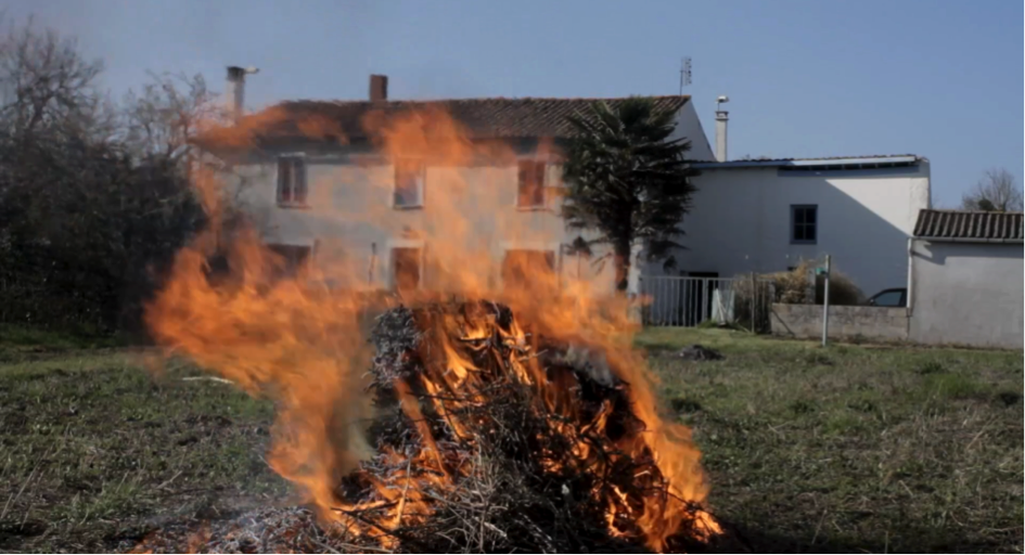 Dans l'oeil du chien