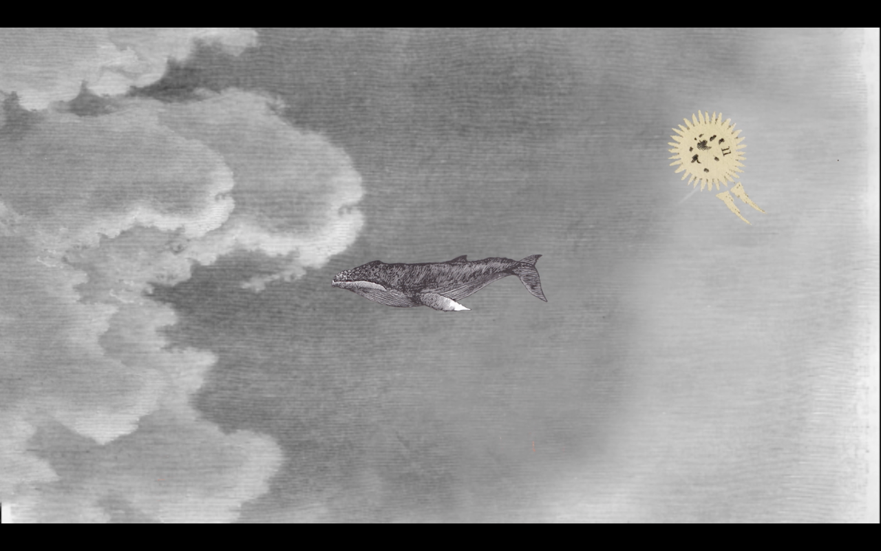 WWW {the whale who wasn't}