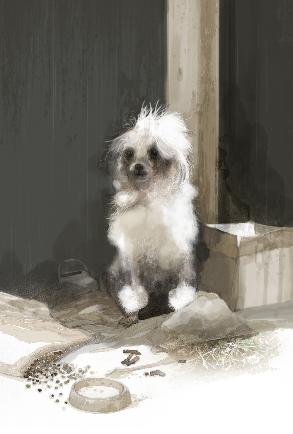 An Old Dog