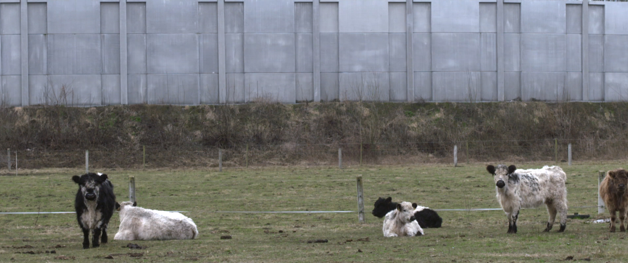 Nichts los in New York