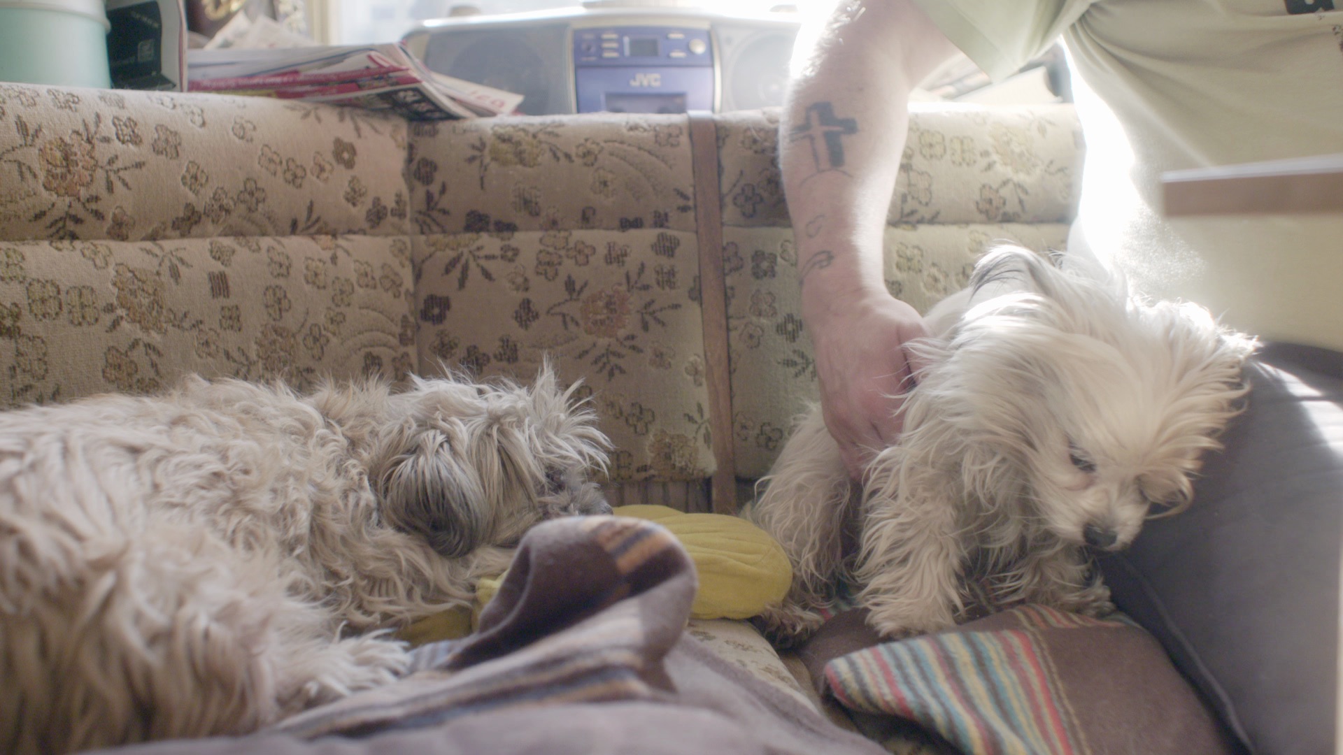 Morgen, wenn die Hunde schlafen