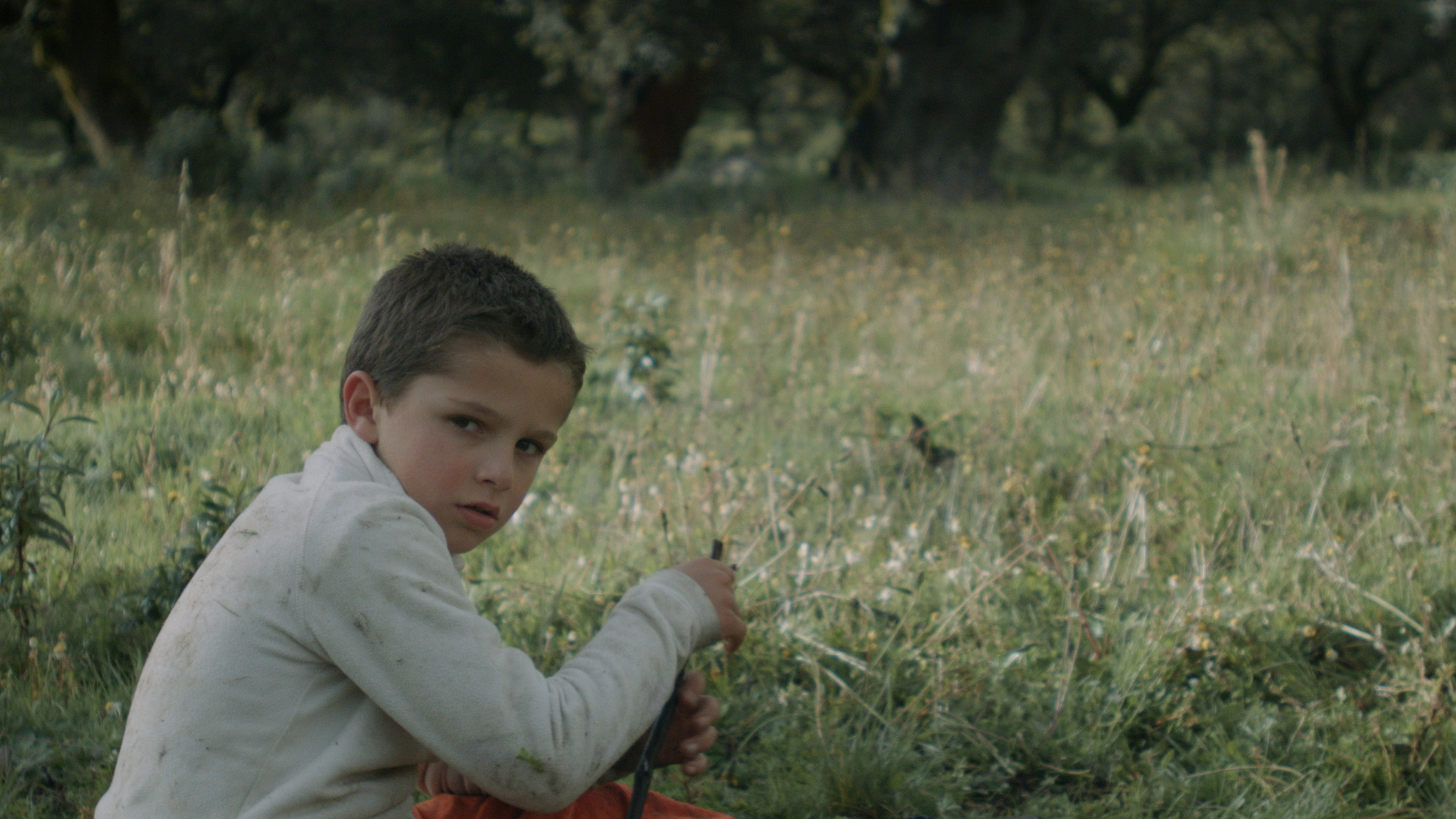 Mi Amado, Las Montañas