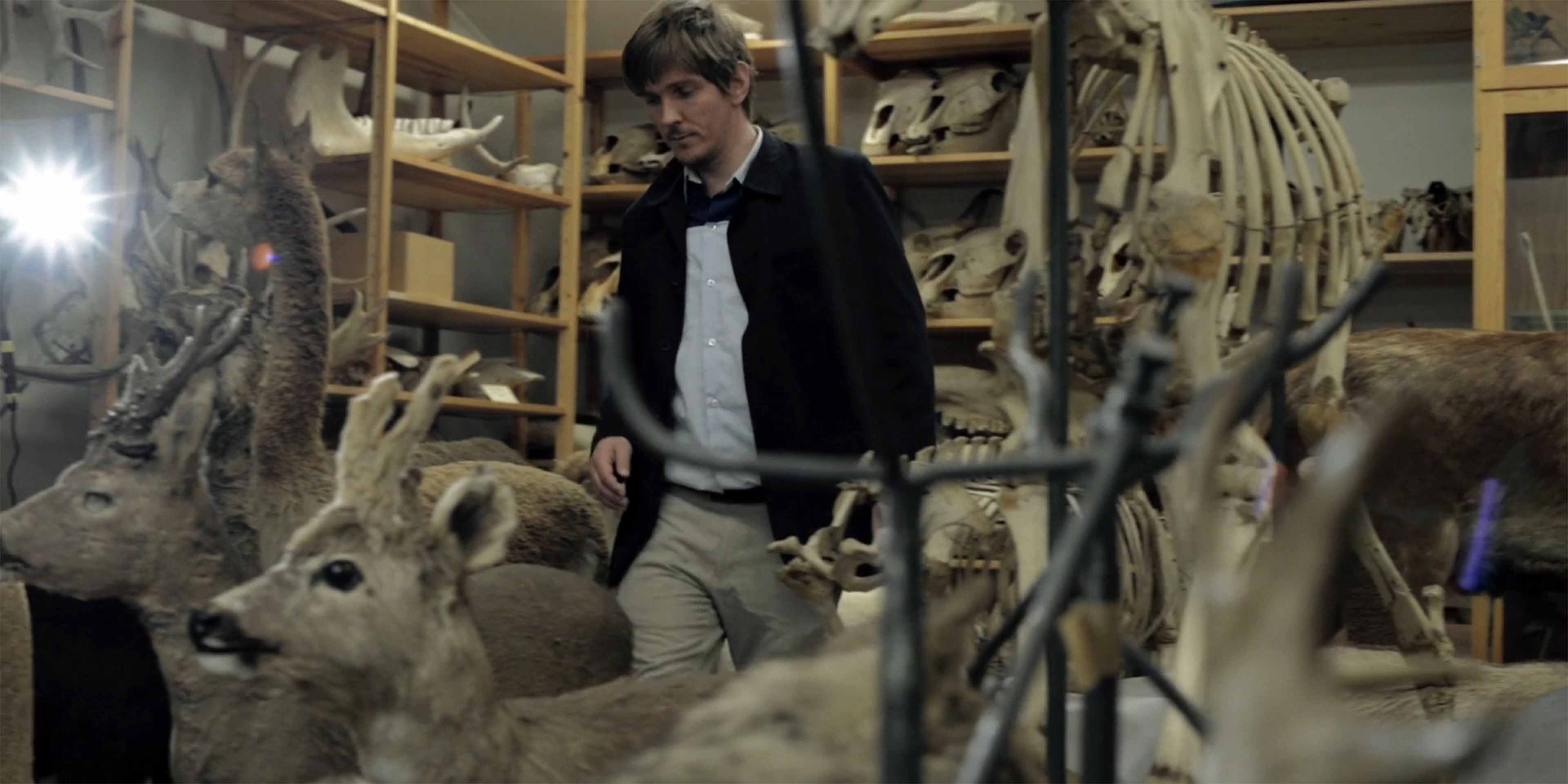 Searching for the European Roller