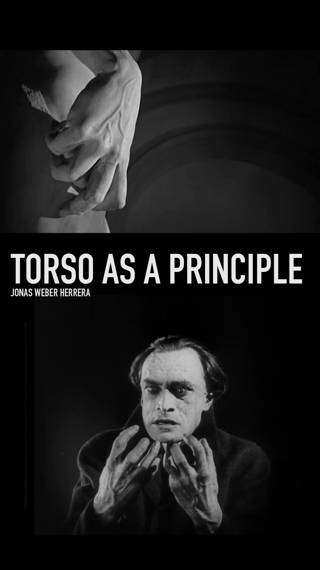 Torso Als Prinzip