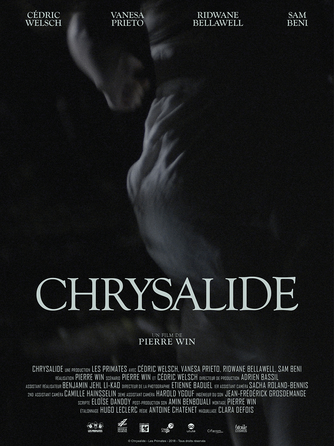Chrysalide