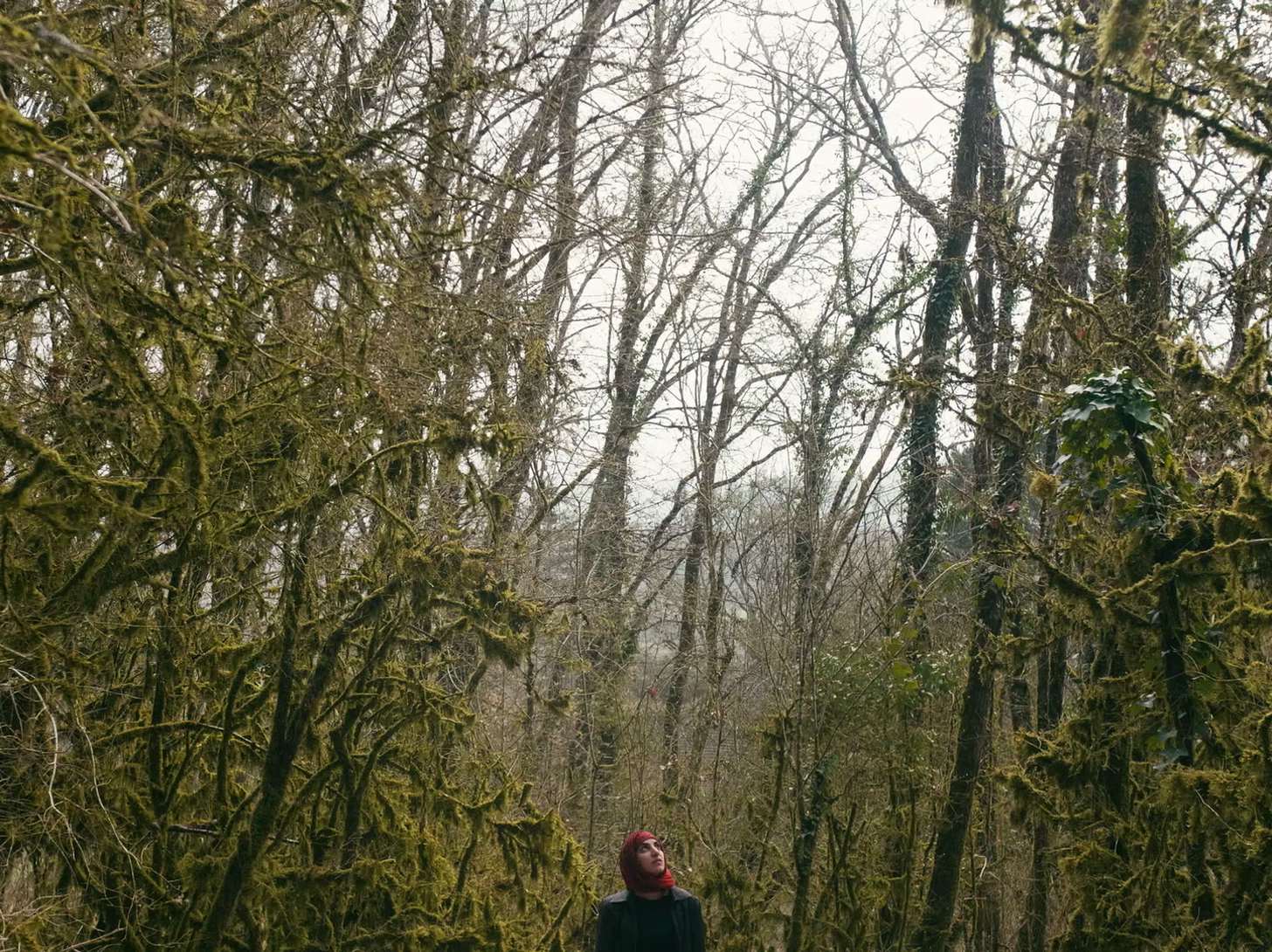 prochaine fois, le feu