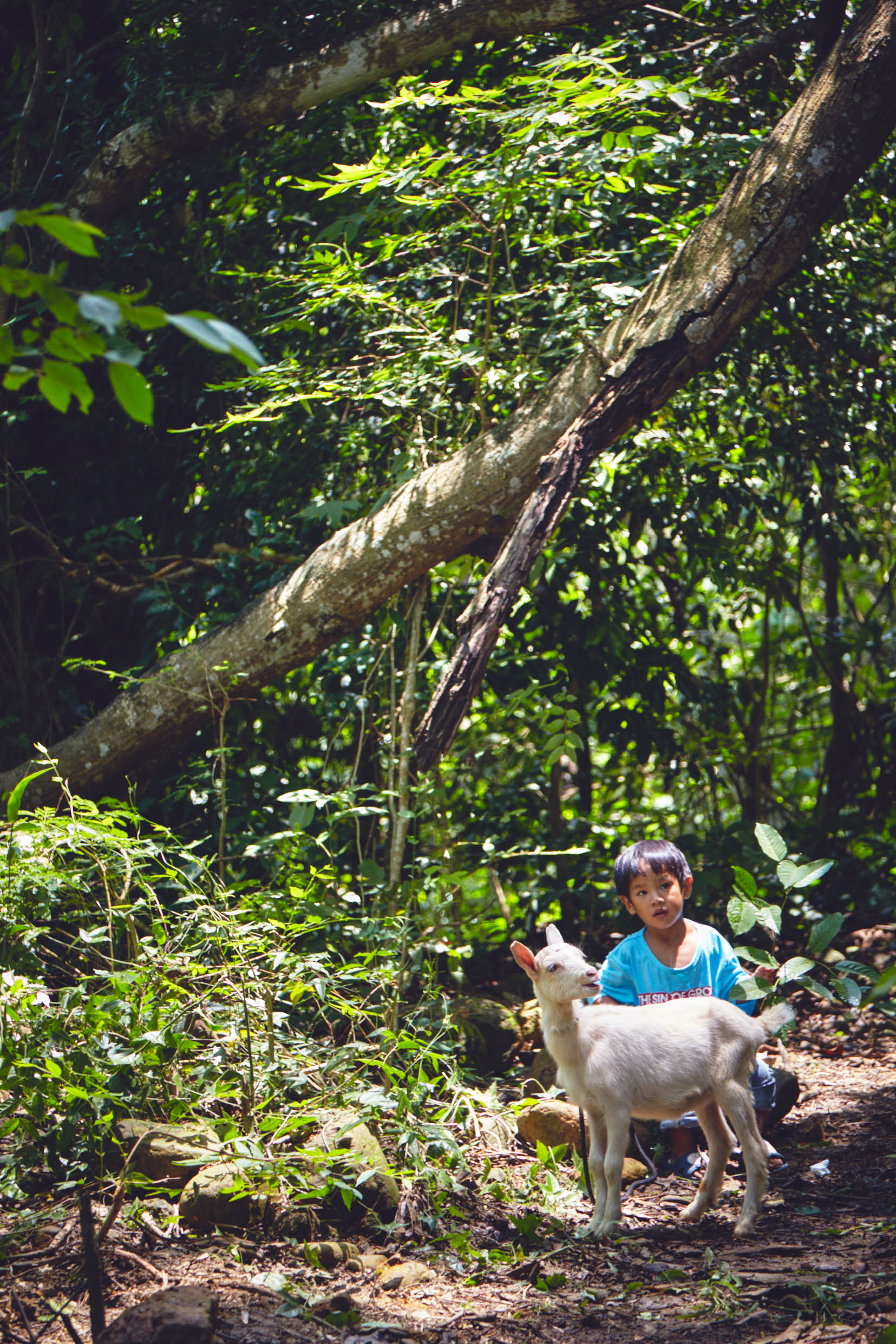 To Heaven, To Gather