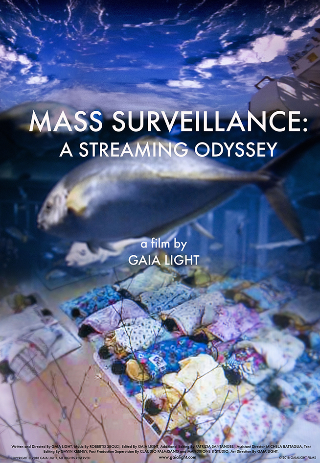Mass Surveillance: A Streaming Odyssey