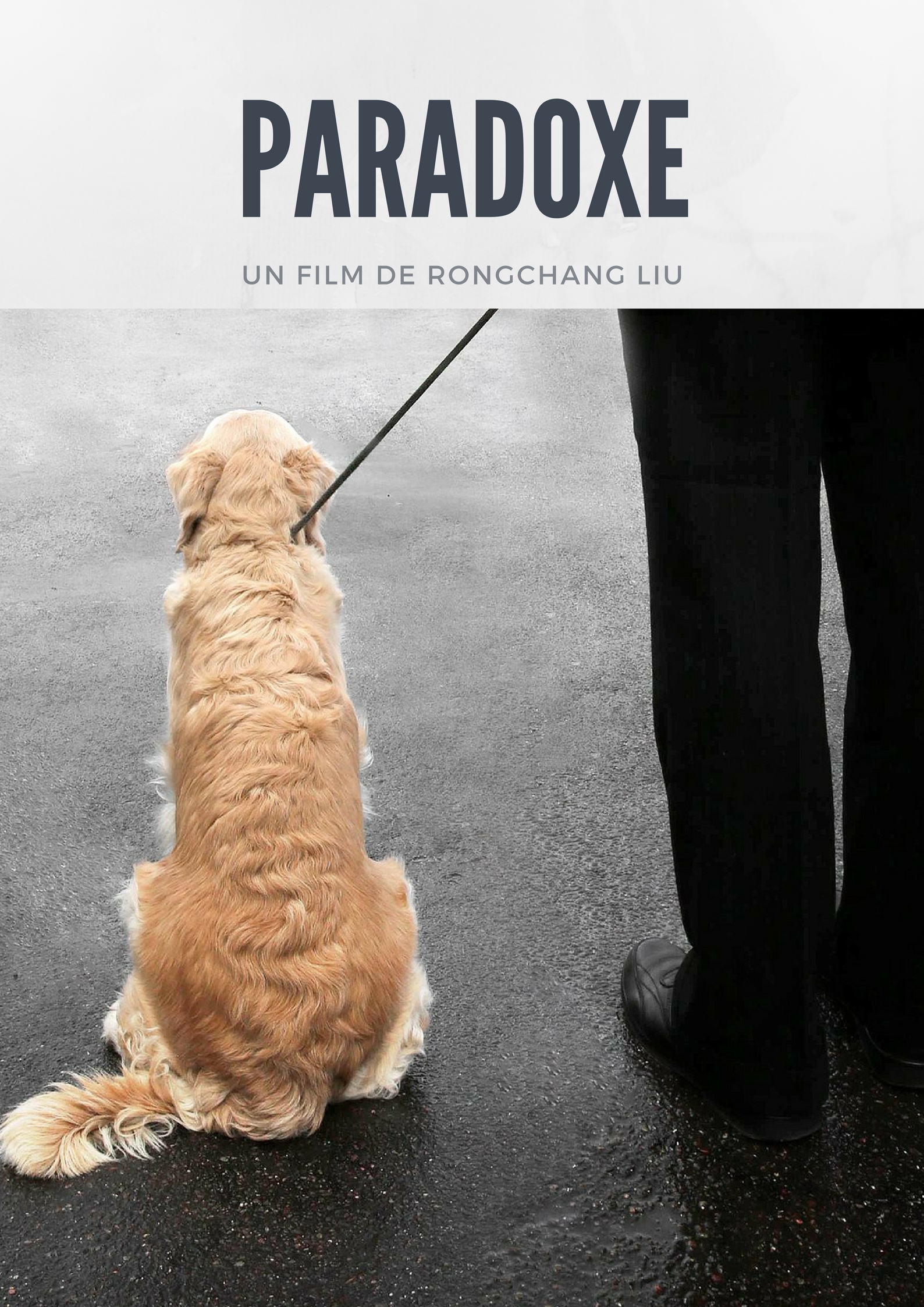 Paradoxe