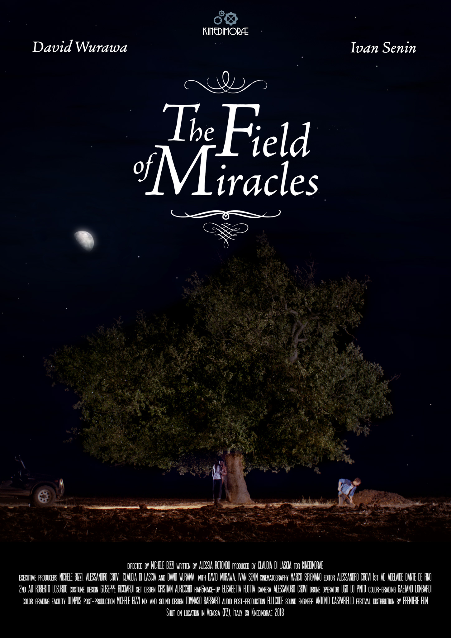 Field Of Miracles