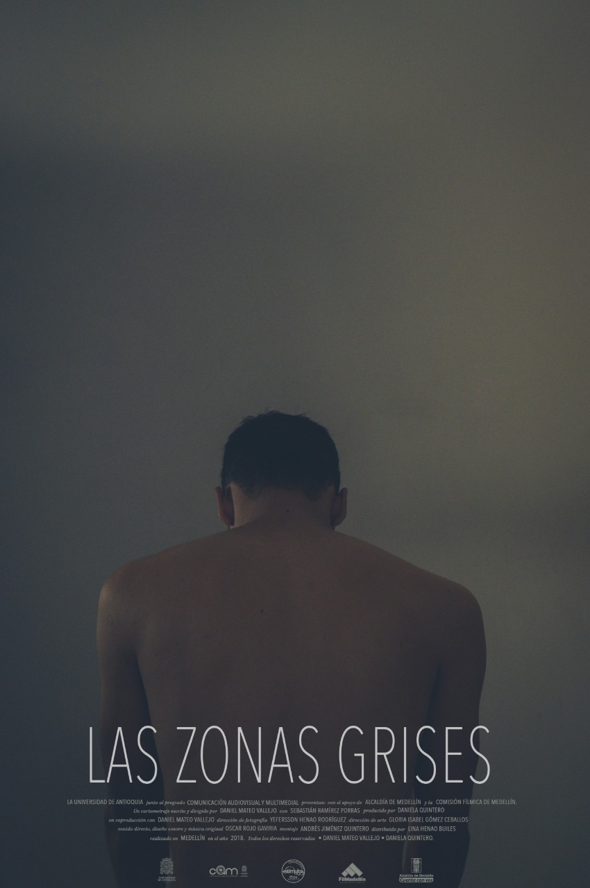Zonas grises