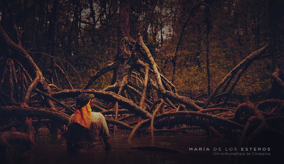 María de los Esteros