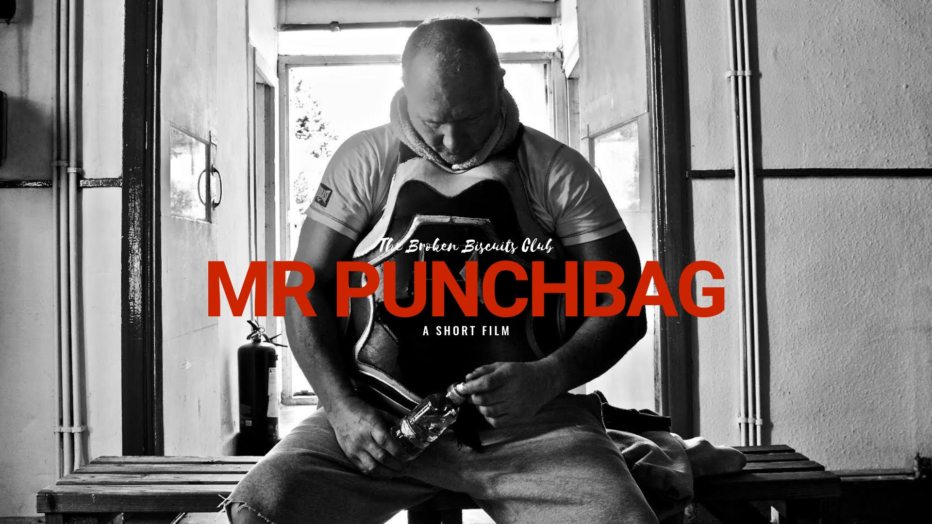 Mr Punchbag