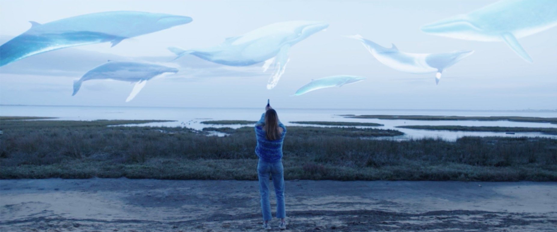 Blossom avant la nuit