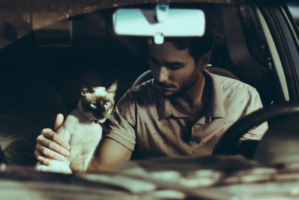 Para Minha Gata Mieze