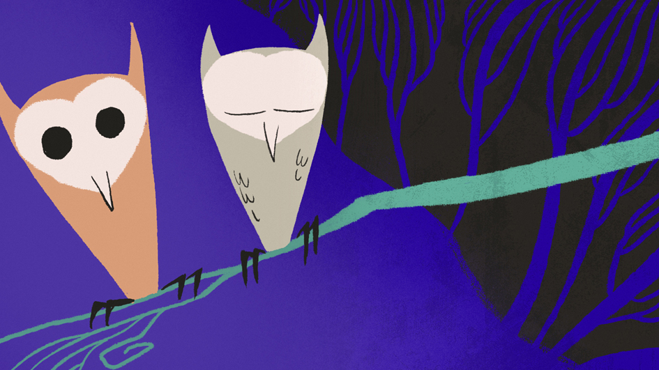 Should You Meet A Lady In A Darkened Wood