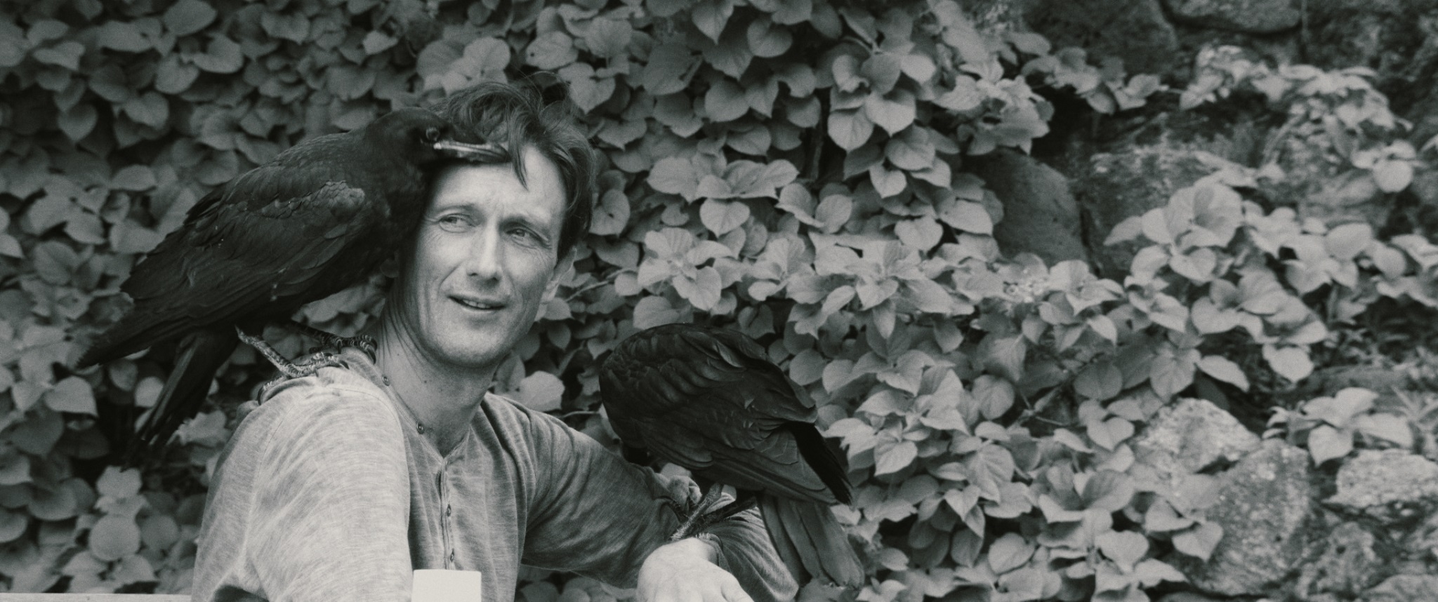 Lizdas. Filmas apie du žmones ir du paukščius