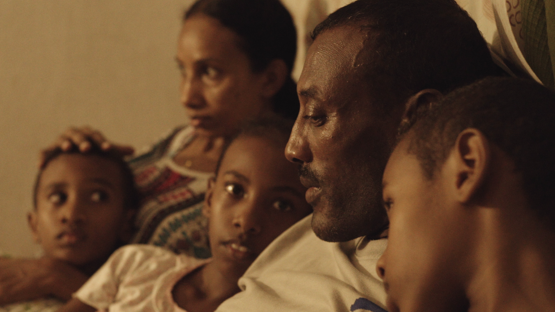 Swallows Trapped In Twilight