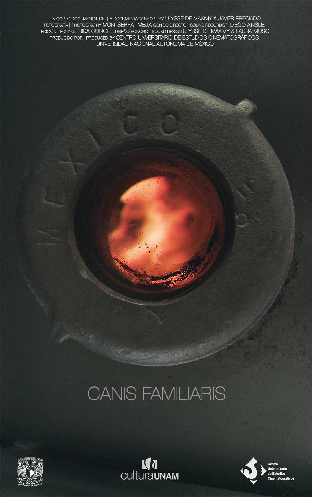 Canis Familiaris