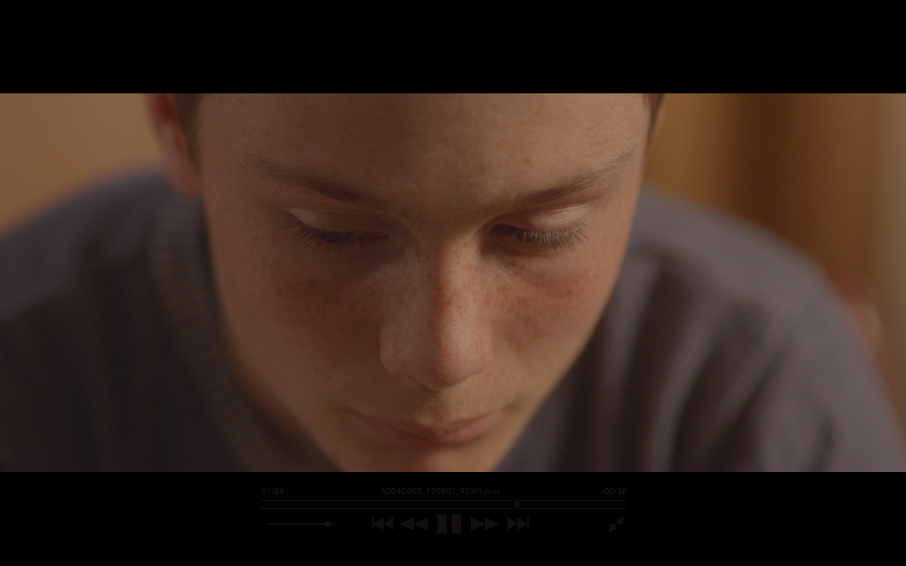 Révérence de l'hippocampe