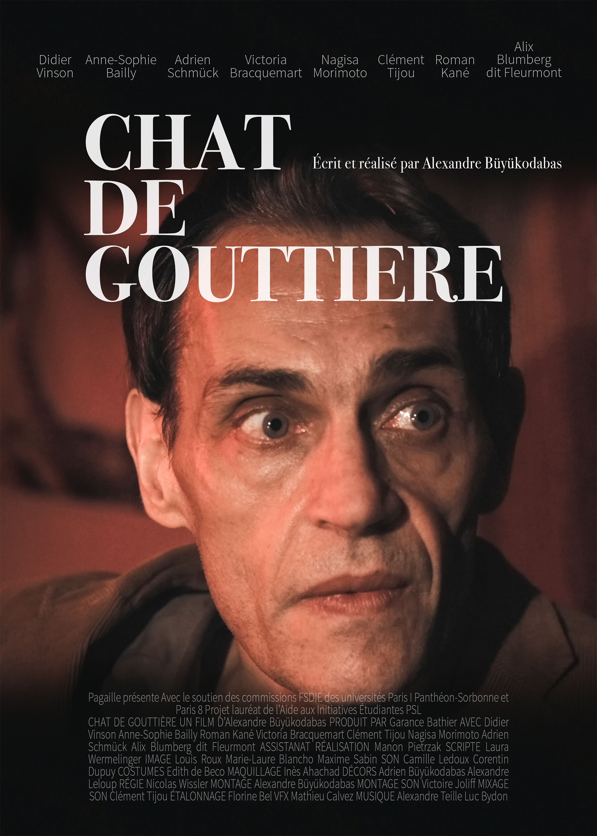 Chat de gouttière