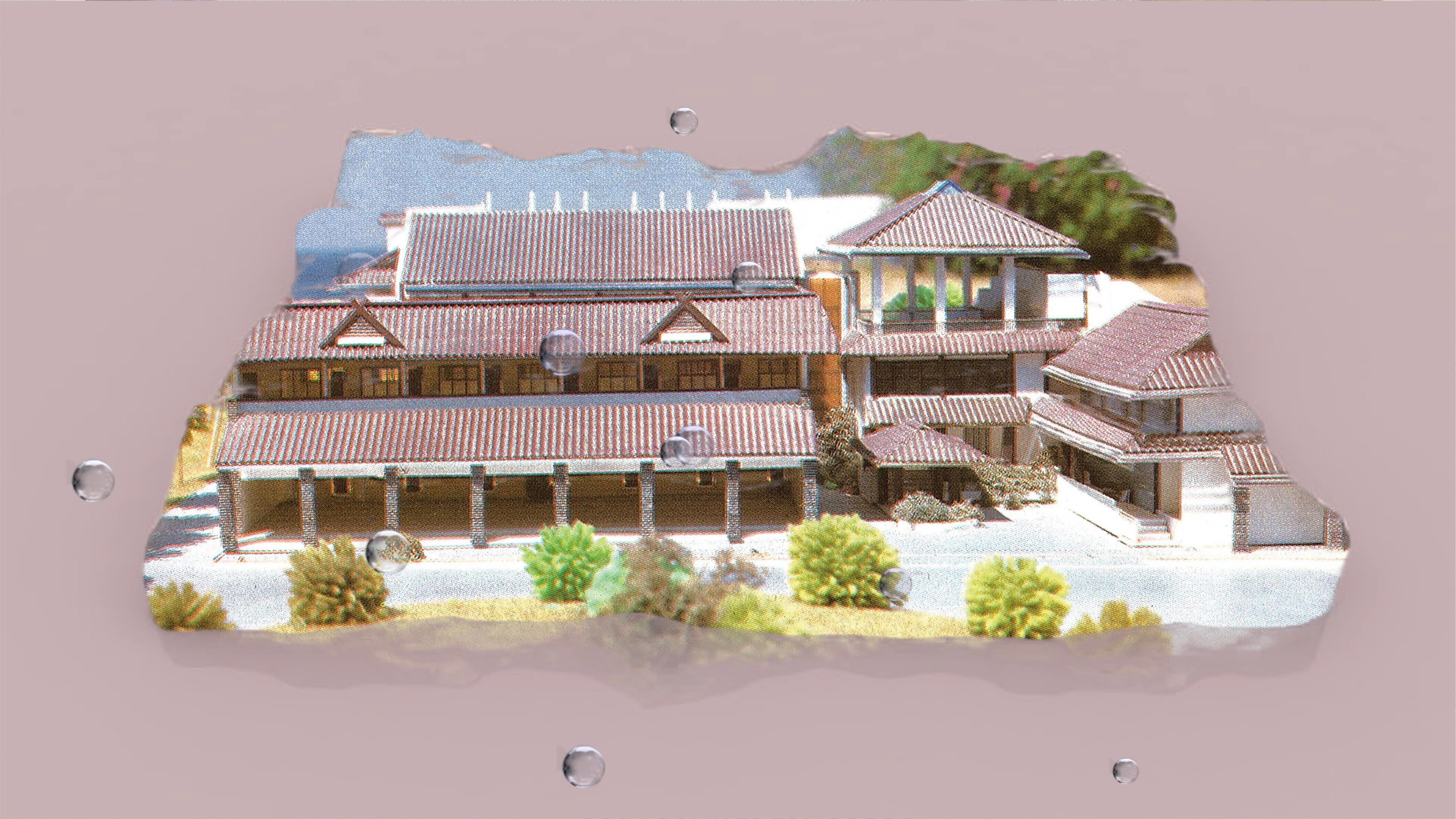 A Room with A Coconut View