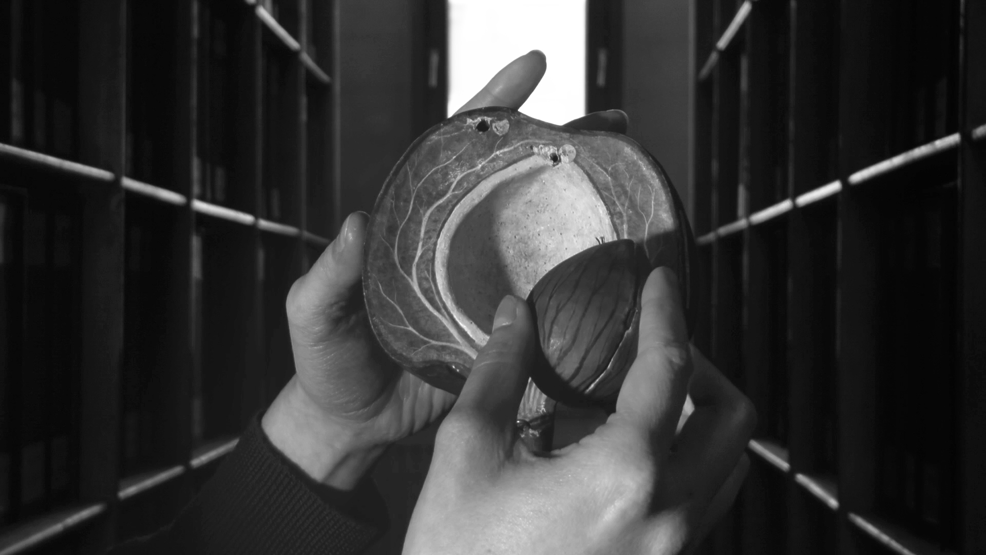 Cartographie d'une violence avec corps et mots