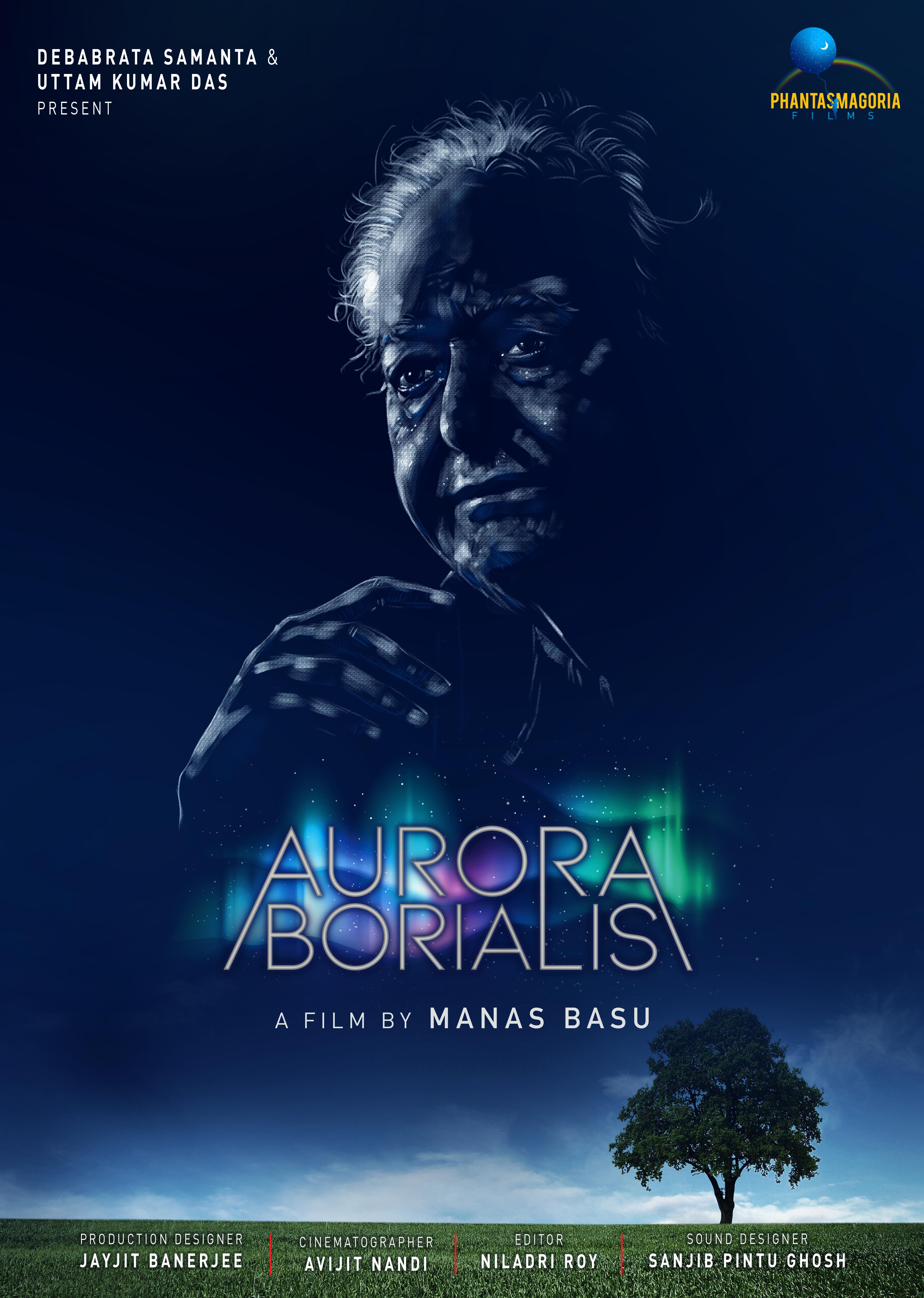 Aurora Borealis