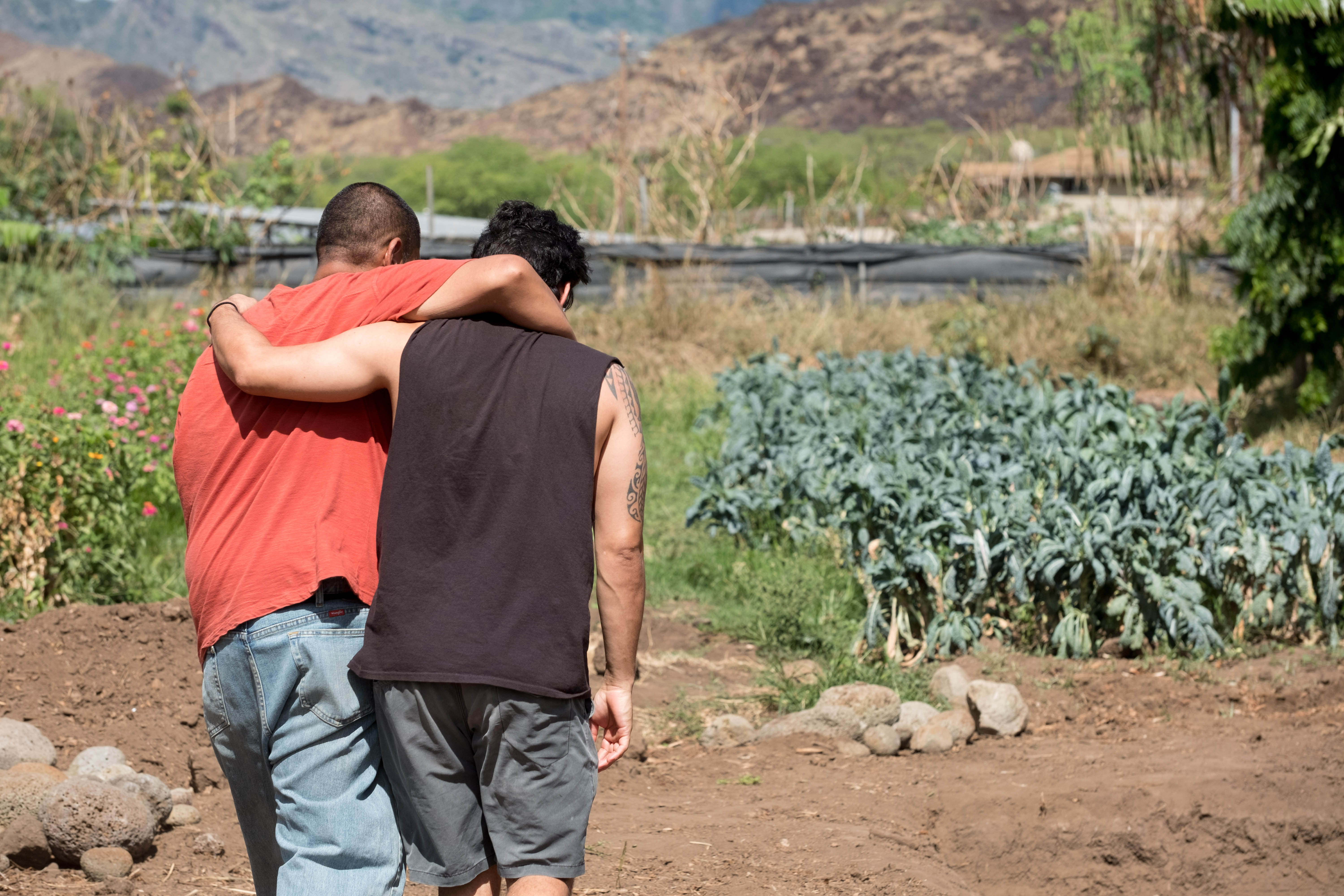 Pit Where We Were Born