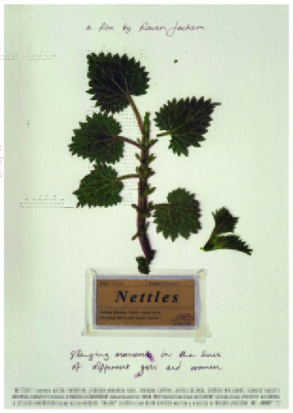 Nettles